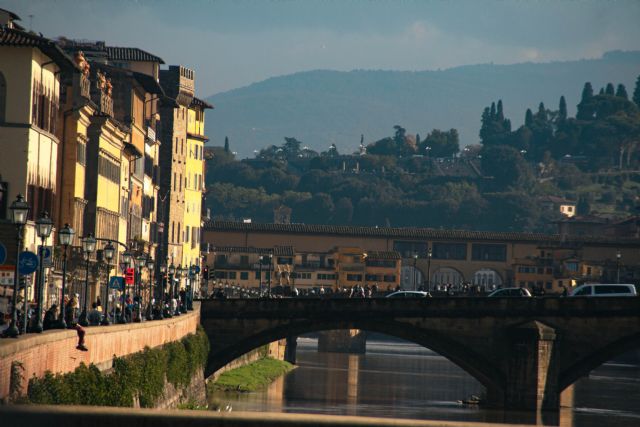 Firenze Arno, Ponti 