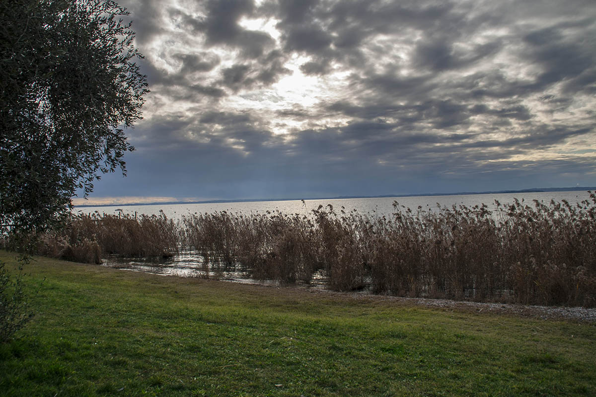 Bardolino Lago 