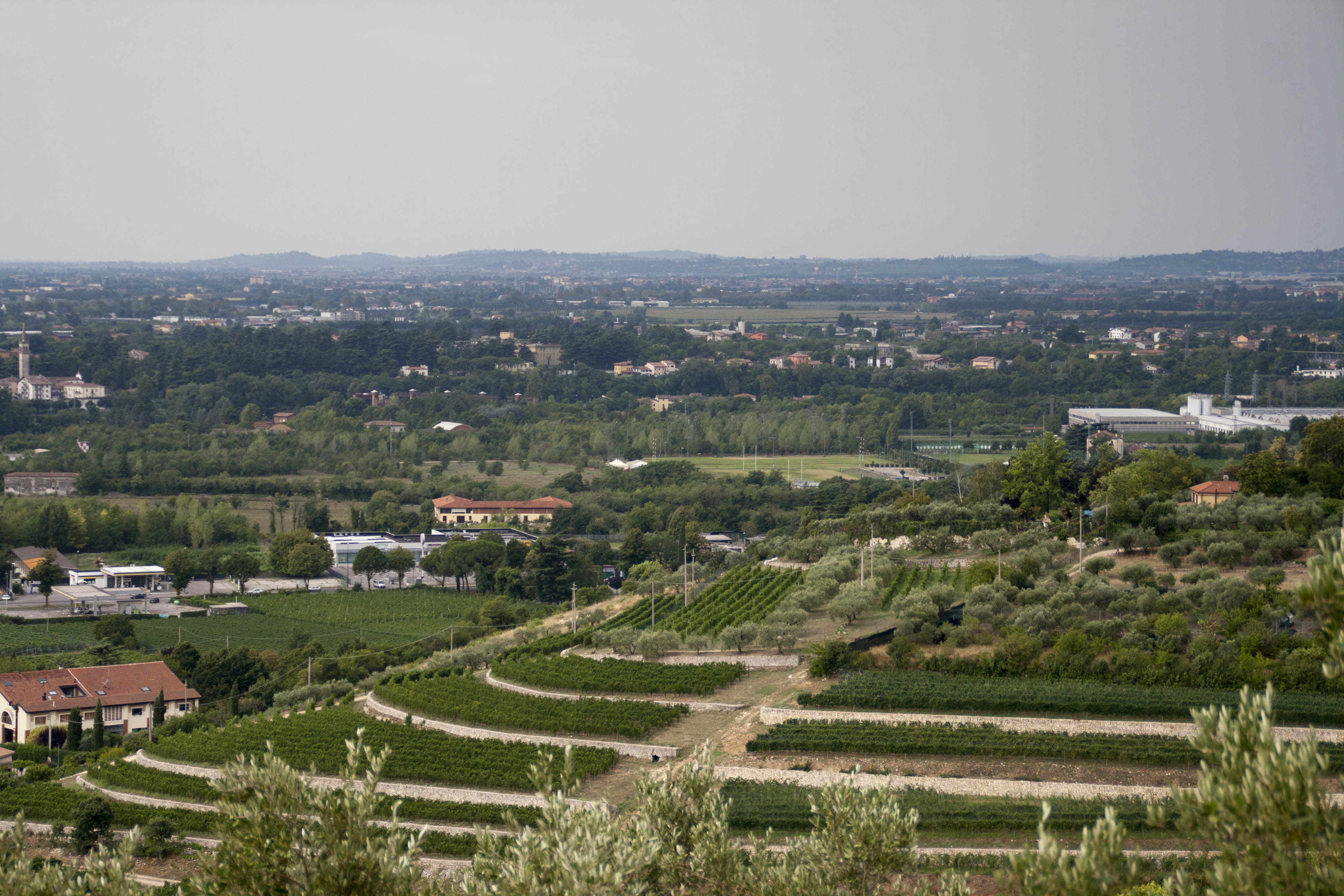 Verona Panorama 