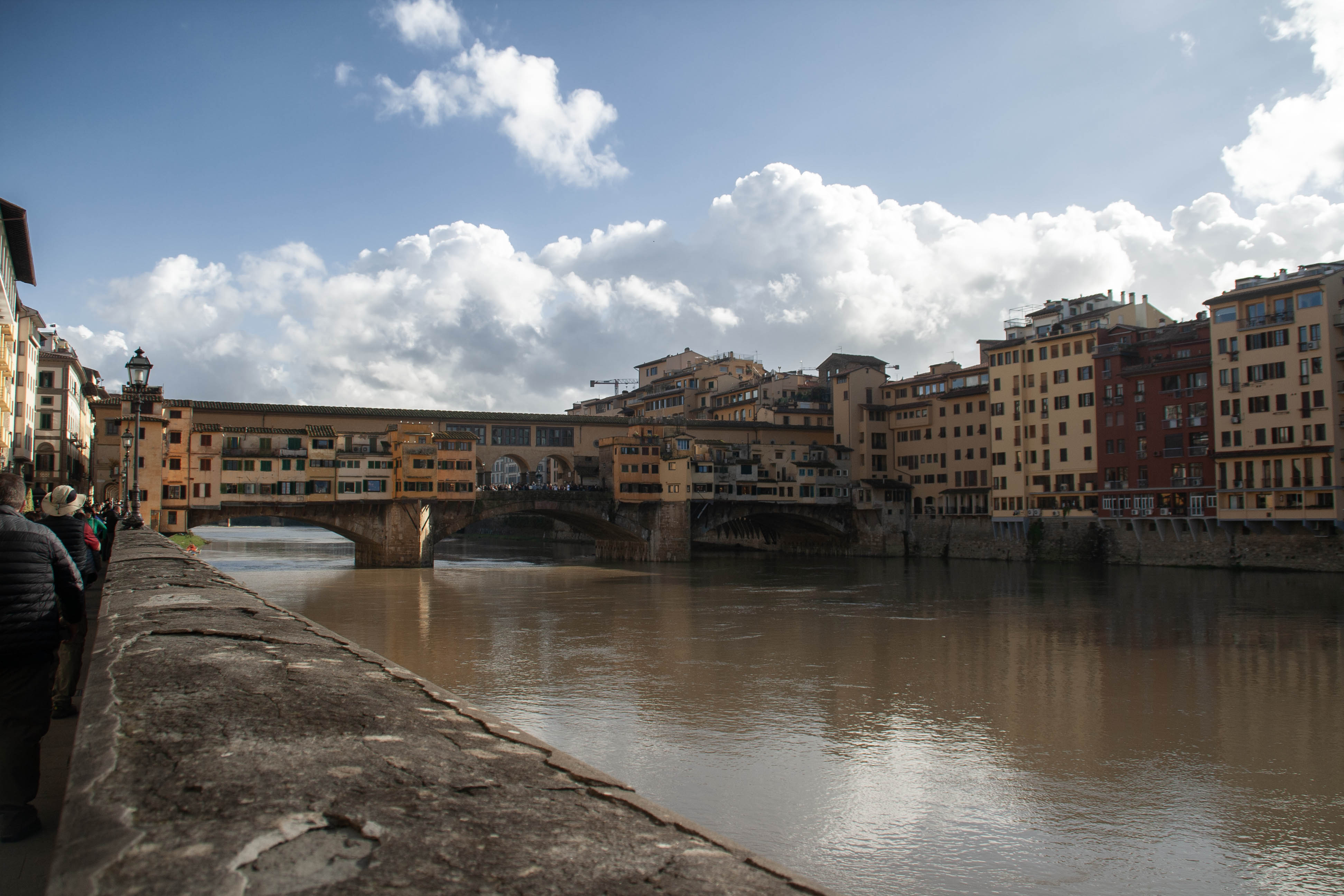 Firenze Arno, Ponti 