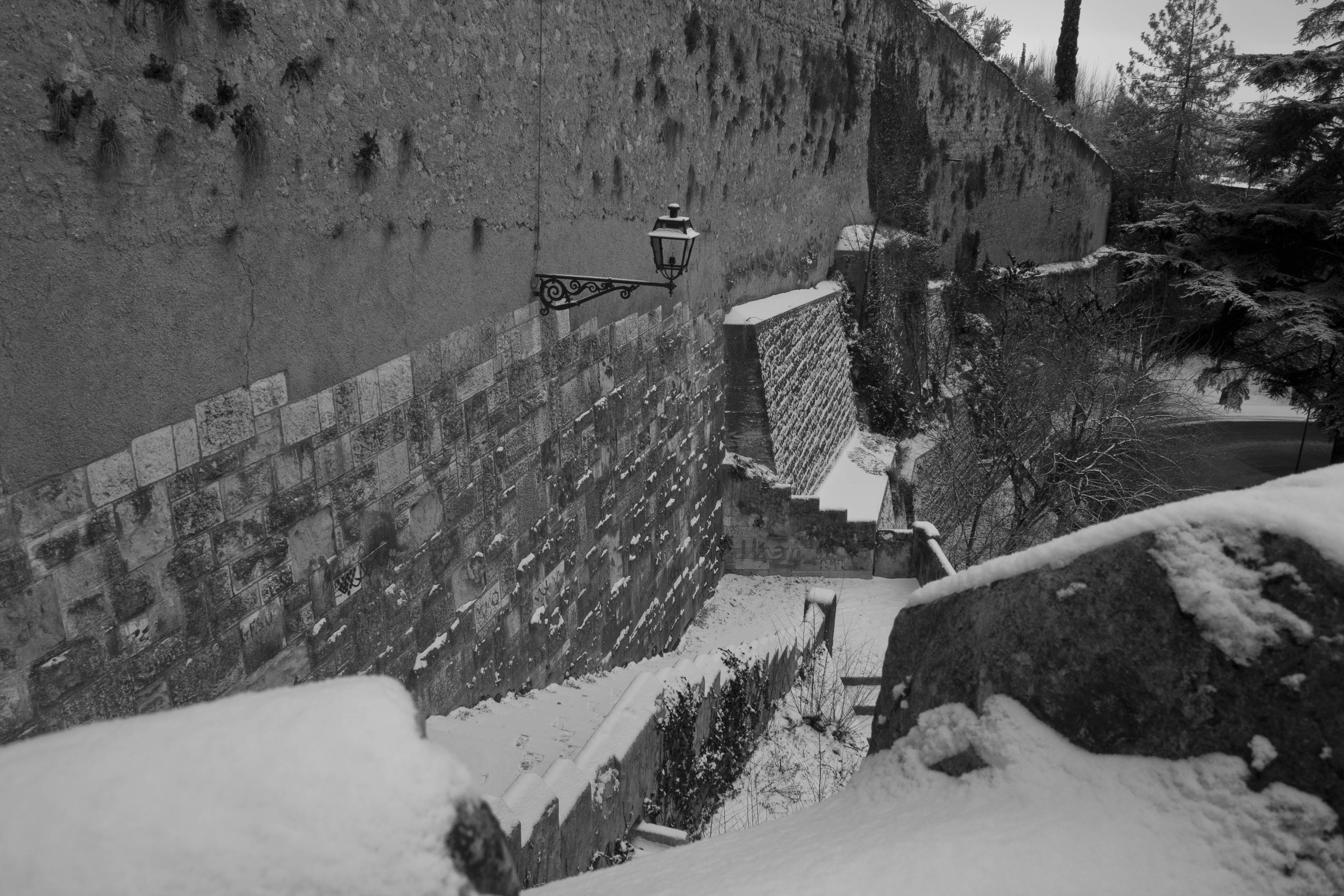 Verona Neve Particolare 