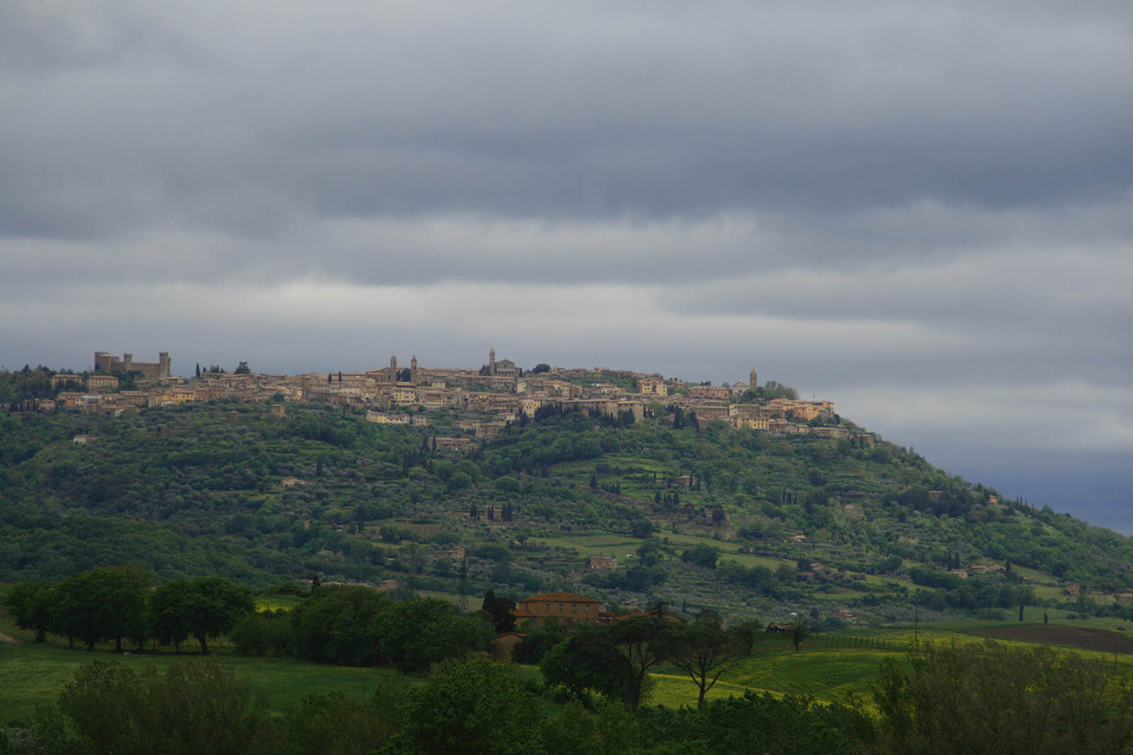 Toscana Panorama  