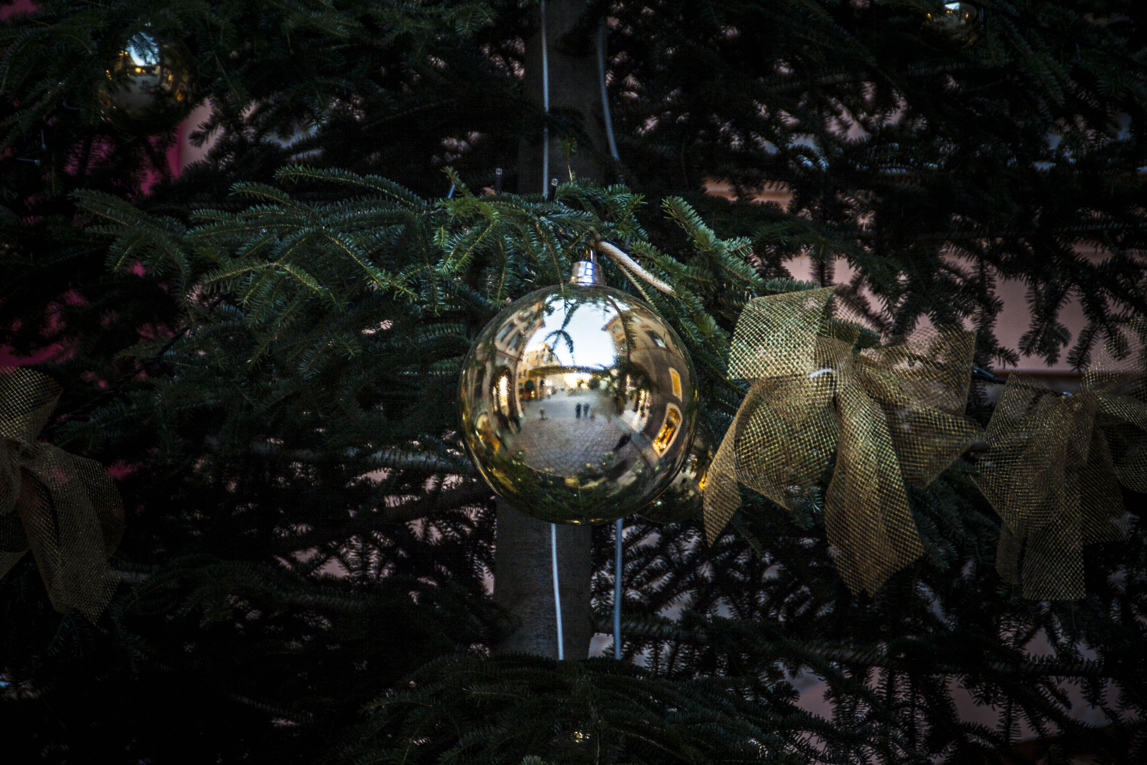 Modena Albero di Natale, Palla 