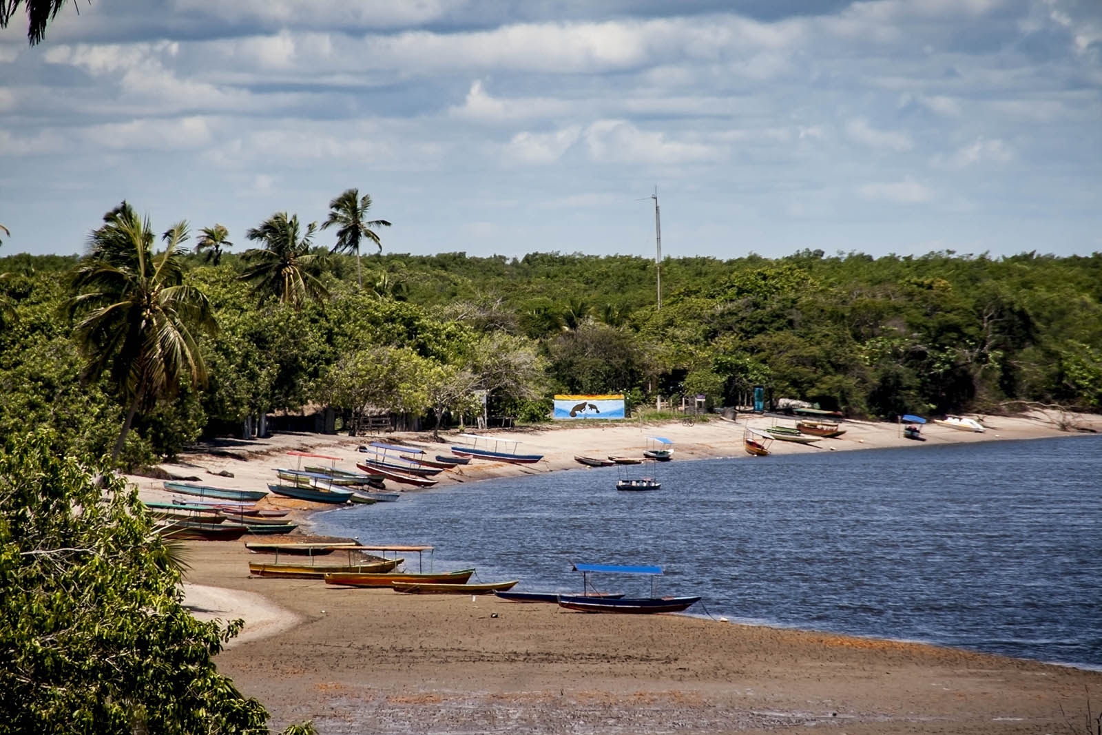 Brasile Mare Natura Panorama Barche 