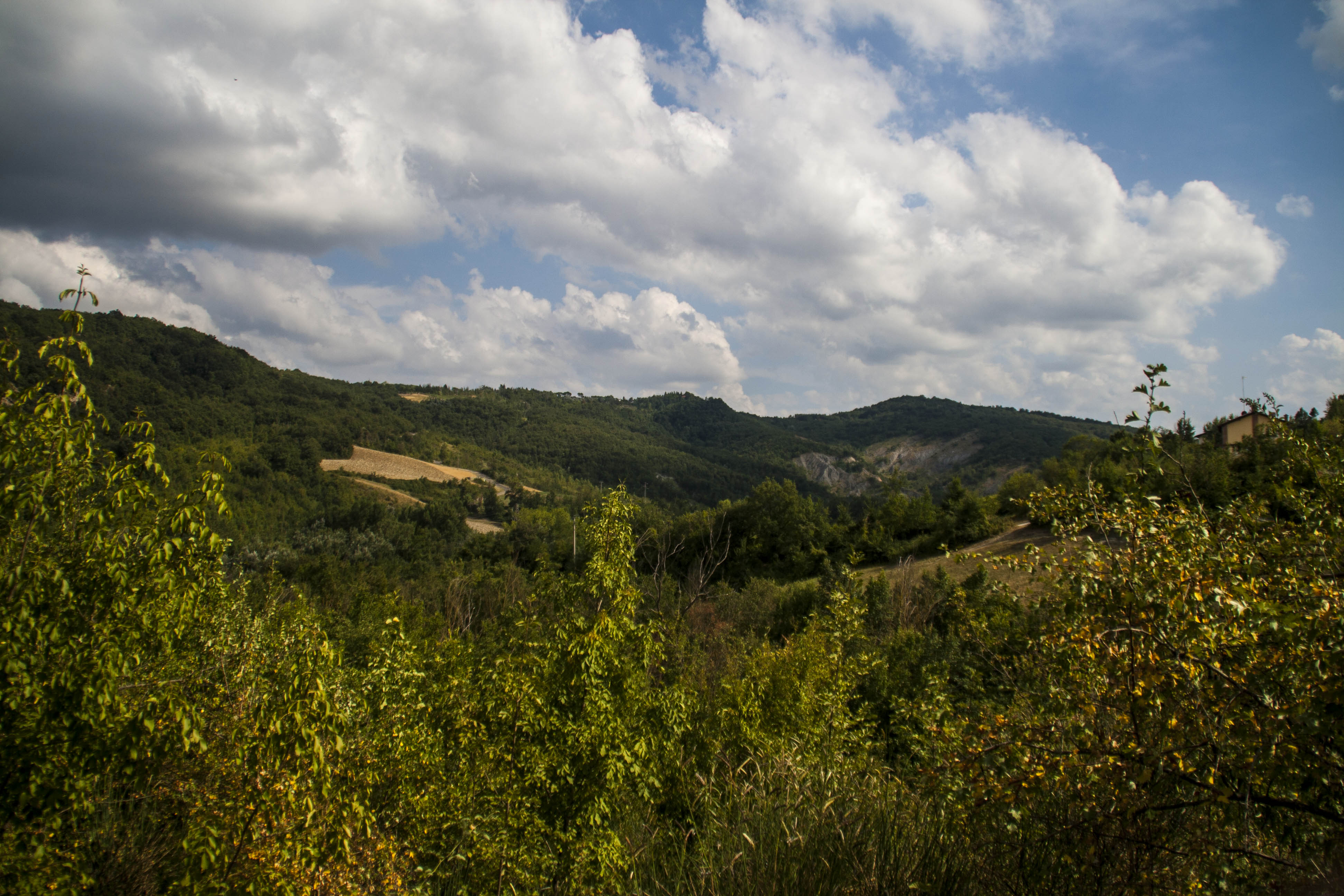 Parco dei Gessi Bolognesi e Calanche dell'Abbadessa (Bo) Natura Panorama HDR 