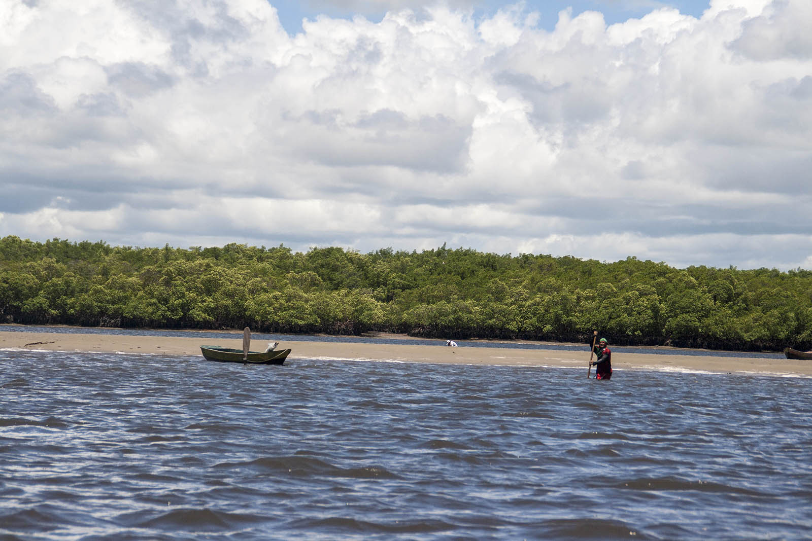 Brasile Mare Natura Panorama Pescatore 