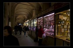 Padova Luci Mercato 