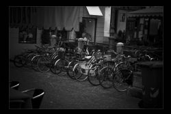 Vicenza B/N Biciclette 
