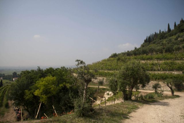 Gargagnano Panorama 