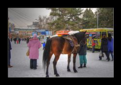 Dnipropetrovsk Ucraina Cavalli neve HDR 