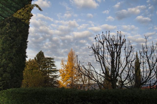 N/A Nuvole alberi Panorama 