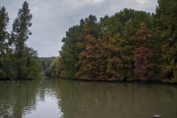 Faenza Natura Acqua Laghetto Colori d'autunno