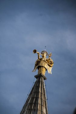 Padova Monumenti Edifici Particolare 